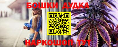 Альфа ПВП Новозыбков