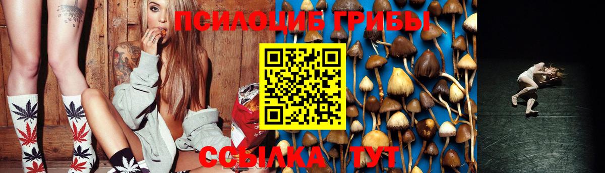 Рассказово  где купить наркоту  Вход с VPN  Галлюциногенные грибы GOLDEN TEACHER 